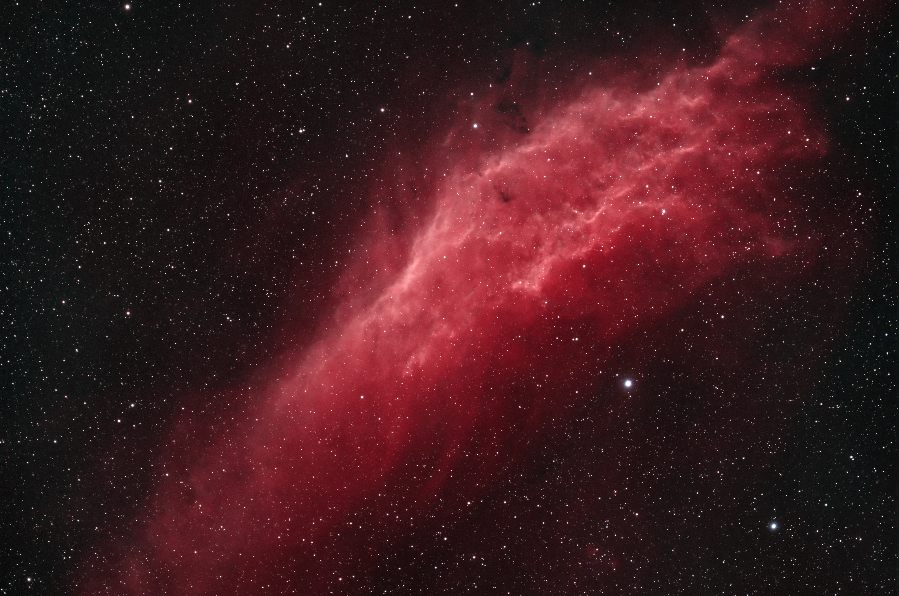The California Nebula rendered in red and gold against a dense star field